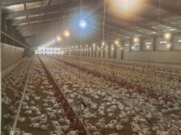 [창간 35주년 Ⅰ특집]  태양광, 농가 선택은?