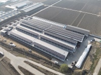 [창간 35주년 Ⅱ특집 - 저탄소 축산 현장Ⅱ]  경기 평택 밀키웨이 목장