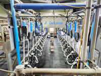 [창간 35주년 Ⅱ특집 - 저탄소 축산 현장Ⅱ]  경기 평택 밀키웨이 목장