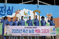 한우농장에 벽화 그려 환경 개선