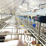 스마트축산 외치며 예산은 삭감