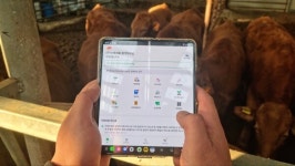 [기록이 경쟁력이다 Ⅰ … NH하나로목장] 전남 장성  해오름농장