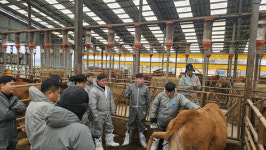 한우 선형심사 전문성 강화