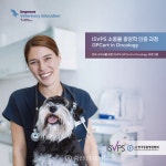 한국동물병원협회, 국내 최초 국제 소동물 종양학 인증과정 개설