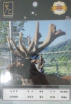 [제34회 우수사슴 선발대회] 오산사슴농장 녹용 28.48kg 대상