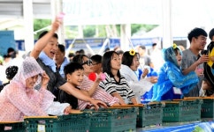 2018 평창더위사냥축제, 여름에도 손이 시려...