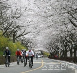 본격적인 봄나들이, 4월에 주의해야 할 재난안전사고