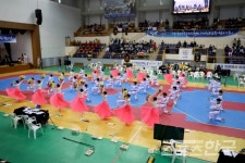 영광군 제46회 전국대학태권도 개인선수권대회 개회식 성황리에 마쳐