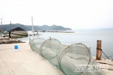 모래가 우는 바다에서 해수욕하고, 쪽빛바다에서 낚시하고