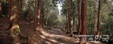 올 여름 나만의 특별한 피서법