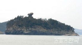 섬 전체가 낚시천국...갯바위 해산물 채취 추억도 쏠쏠