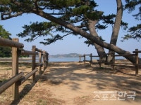 우리나라 최초 우주센터 품고 비단처럼 나부끼는 바다