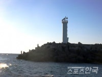 [박상건 시인의 섬과 등대여행] <55> 신진도