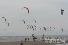 2019 보성군수배 전국요트대회 18일 팡파르...비봉마리나 녹차향 가득 담아 득량만 가른다