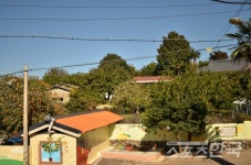 [고흥유자석류축제] 석류에 반하고 유자향에 취하다