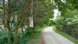 국내 최장 걷기여행길 서해랑길 열렸다