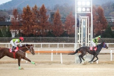 대통령배 왕좌는 라온퍼스트… 암말로서 거둔 최초 우승