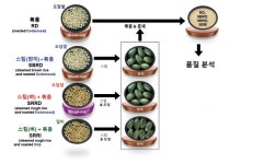 농진청 도담쌀 당뇨 예방 효과 확인