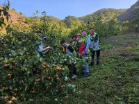 광양시 옥곡면, 신광양라이온스클럽과 포스코 프렌즈 봉사단, 농촌일손돕기 봉사활동