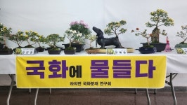 신안군 하의면 국화분재 연구회 전시회 개최