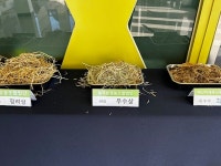 2023년 전국 사료작물 품질경영대회 늘푸른영농조합법인 우수상