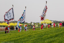 2024 전북특별자치도 거리극축제 노상놀이야  사업자 찾는다