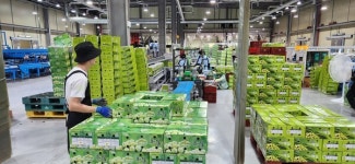 [순천시 신년기획] 지속 가능한 스마트 디지털 농업, 농업인과 함께 발전한다