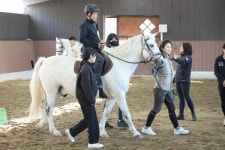 춘포힐링승마장 | '힐링승마'로 다시 만나는 말…한국마사회, '실버힐링승마' 프로그램 진행