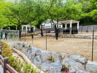 광주광역시 우치동물원, 새단장 사슴사 3일 재개장  생명존중 알리는 교육장으로 탈바꿈