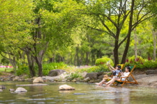 비수도권인 순천 관광객 1위,  순천만국가정원 숲캉스 몰리는 비결은?