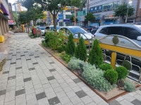 광양시, 광영초 통학로에 자녀안심 그린숲 조성 안전해요!