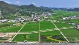 순천시 별량면 푸른 들판에 펼쳐진 이색 논아트 조성 눈길