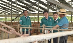 정성주 김제시장, 폭염 속 축사 현장 점검 분주