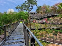 데일리스포츠한국 섬문화연구소와 섬사랑시인학교 캠프 개최