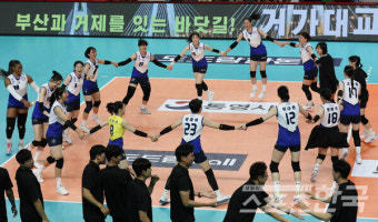 현대건설, 결승전서 정관장 3-1 격파