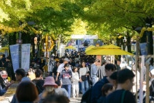 순천시 제10회 향동 은행나무아래로 축제, 주민과 소상공인이 웃었다!