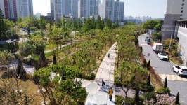 숨 쉬는 도시, 살아나는 일상  전북특별자치도, 도시숲 확충 본격 추진한다