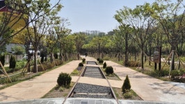 숨 쉬는 도시, 살아나는 일상  전북특별자치도, 도시숲 확충 본격 추진한다