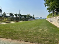순천시, 오천그린광장 직접 재배 잔디 적극 활용!