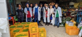 한국석유공사 곡성지사, 삼기면 매실농가 농촌일손돕기 펼쳐