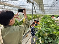 영암군에서 한 달 살아보고 귀농귀촌 결심한다