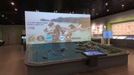 신안군, 신안철새박물관·신안자생식물뮤지엄 공립박물관 등록…유네스코 세계자연유산 위상 강화