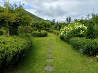 제1회 곡성군 아름다운 경관상 은행나무농원 꽃이랑 나무랑수상작 선정