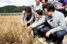 [포토뉴스]김민석 국무총리와 김영록 전라남도지사 벼 깨씨무늬병 피해지역 현장 방문