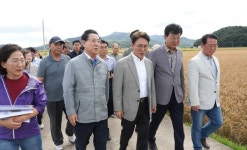 [포토뉴스]김민석 국무총리와 김영록 전라남도지사 벼 깨씨무늬병 피해지역 현장 방문