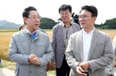 [포토뉴스]김민석 국무총리와 김영록 전라남도지사 벼 깨씨무늬병 피해지역 현장 방문