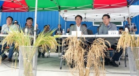 [포토뉴스]김민석 국무총리와 김영록 전라남도지사 벼 깨씨무늬병 피해지역 현장 방문