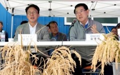 [포토뉴스]김민석 국무총리와 김영록 전라남도지사 벼 깨씨무늬병 피해지역 현장 방문