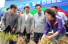 [포토뉴스]김민석 국무총리와 김영록 전라남도지사 벼 깨씨무늬병 피해지역 현장 방문