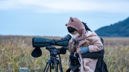 흑두루미가 먼저 찾는 겨울 핫플, 순천여행으로 떠나자!